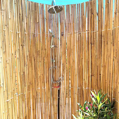 Joanna Deluxe Kynopiástai